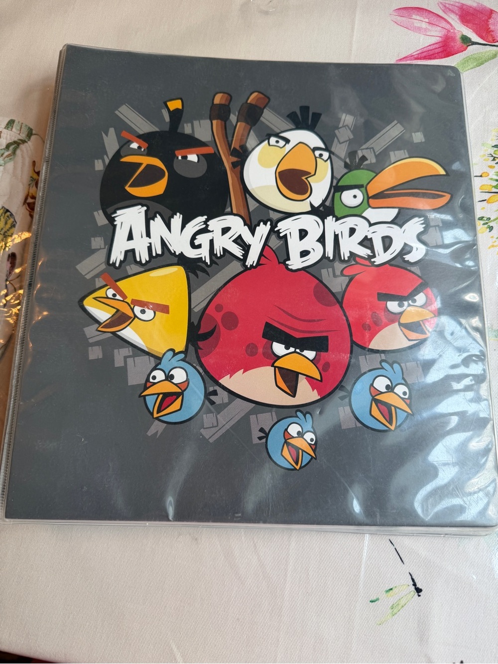 Angry Birds binder book
